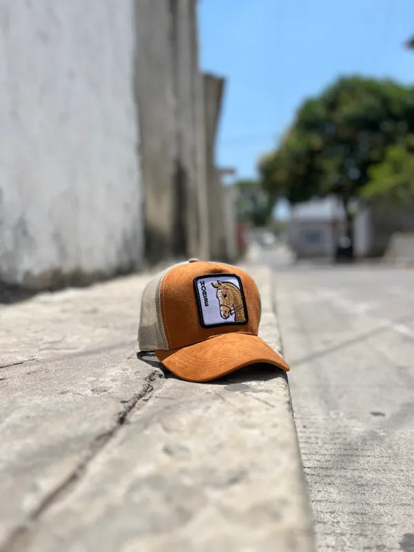 Gorra · Caballo beige, Camioneras