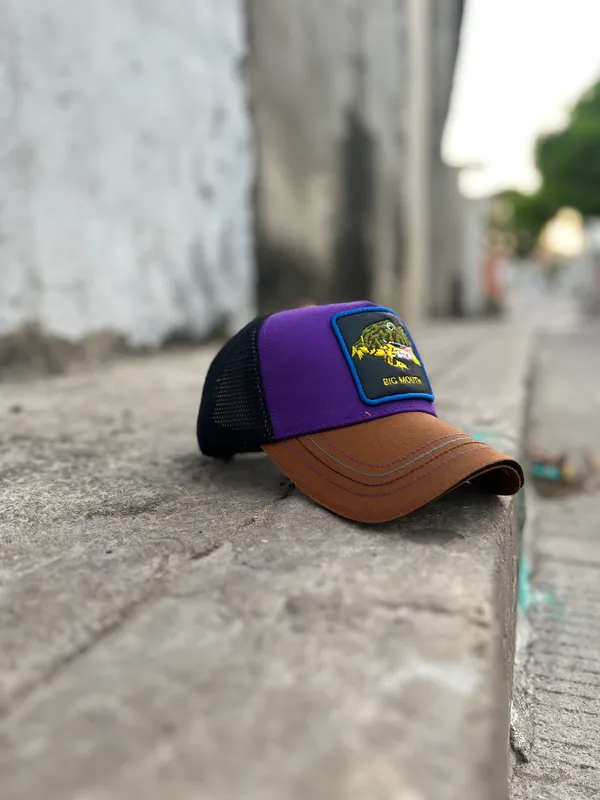 Gorra · Sapo, Camioneras