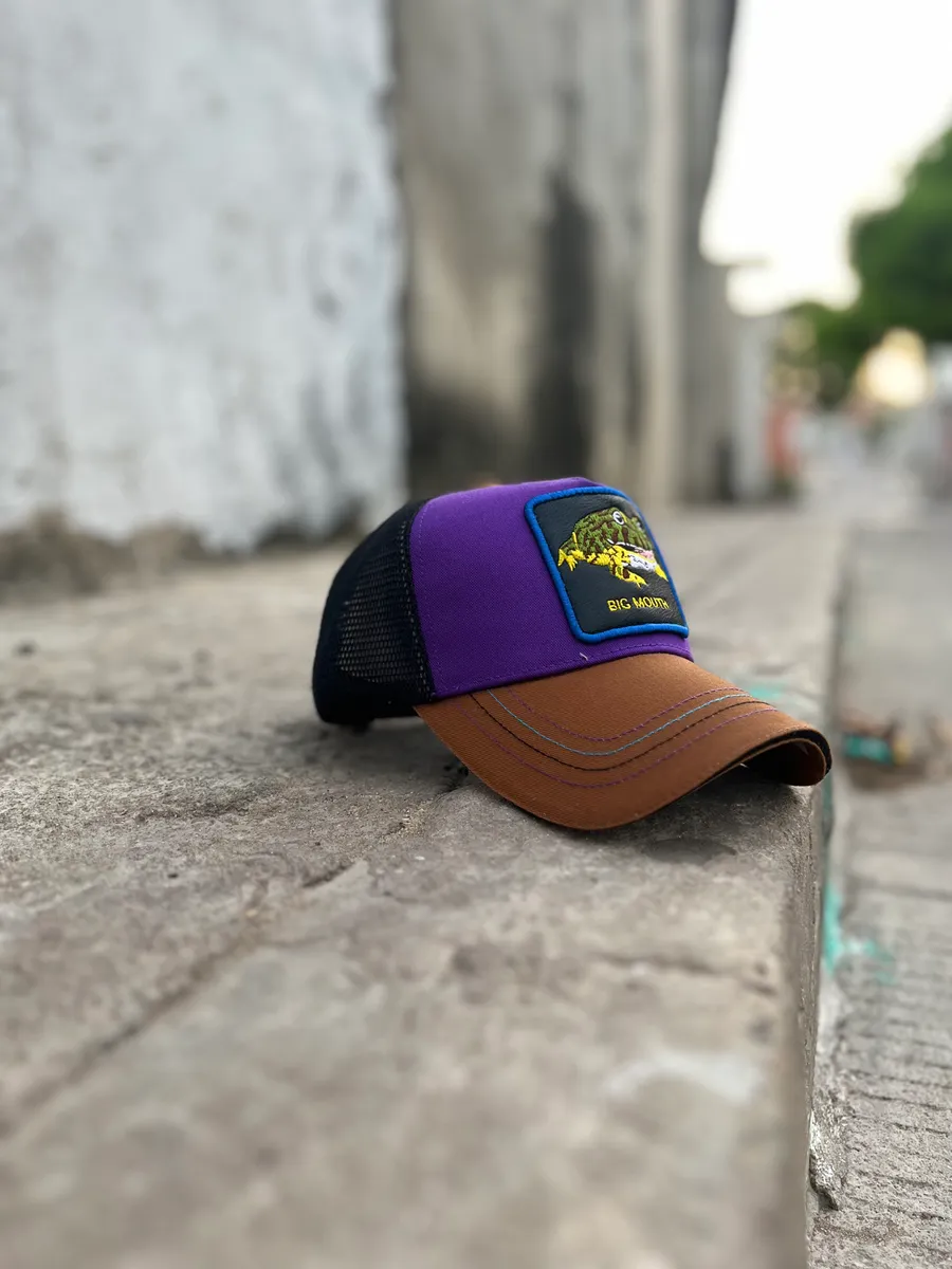 Gorra · Sapo